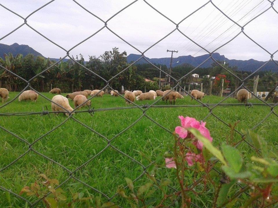 Casa Di Pecora - Pousada Rural 라우로 뮐러 외부 사진